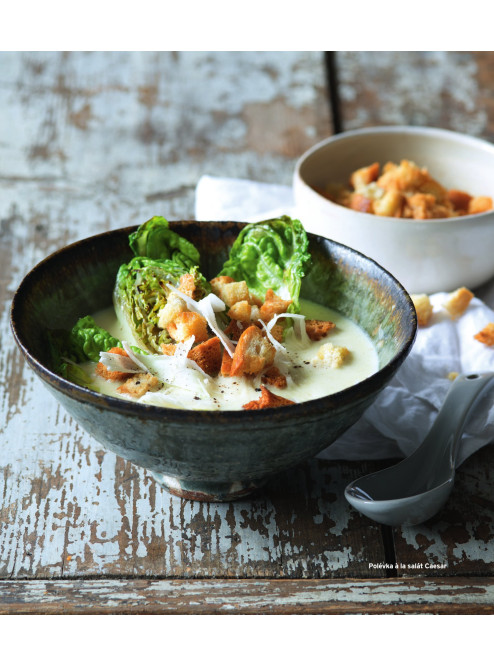 Vegetariánská kuchařka Vegetariánská kuchařka