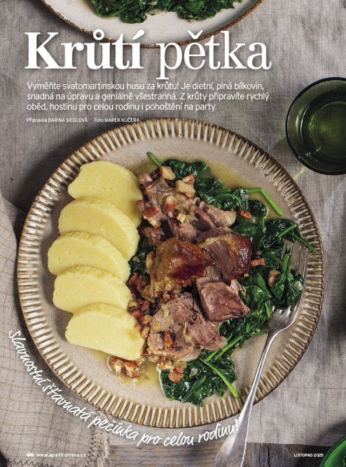 AKTUÁLNÍ VYDÁNÍ APETIT 11/2025