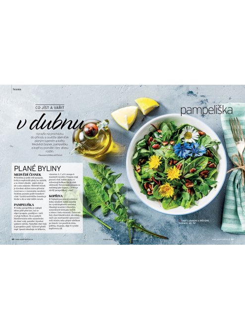 AKTUÁLNÍ VYDÁNÍ APETIT 04/2026