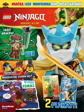 LEGO® NINJAGO® (1)