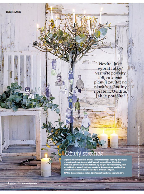 MARIANNE BYDLENÍ 12/2023