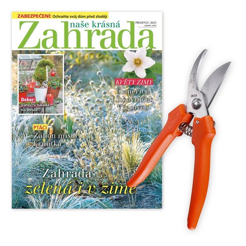 Roční předplatné + nůžky