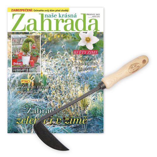 Roční předplatné + motyčka