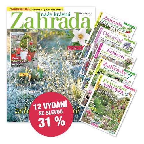 Roční předplatné + speciály NKZ