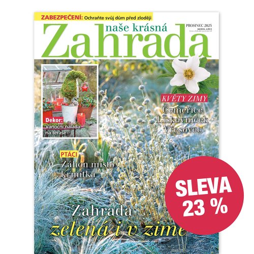 Roční předplatné se slevou