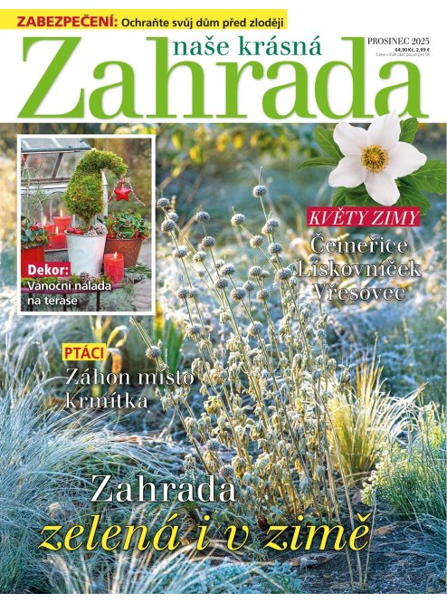 AKTUÁLNÍ VYDÁNÍ NAŠE KRÁSNÁ ZAHRADA 12/2025