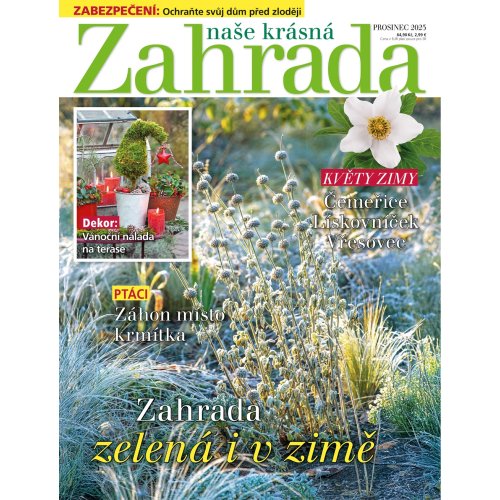 obrázek magazínu