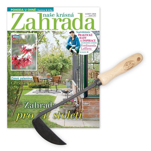 Roční předplatné + motyčka