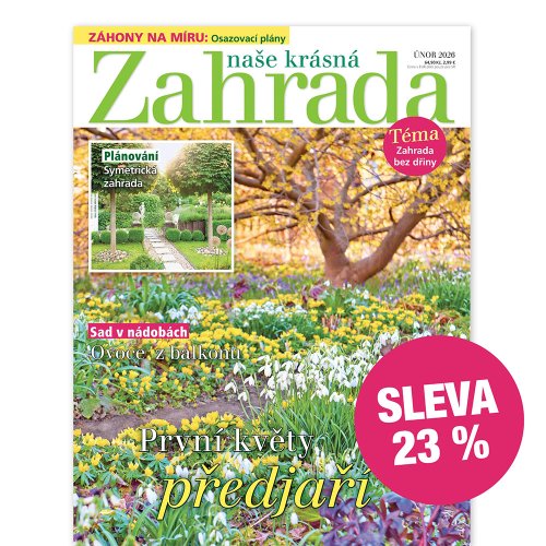 Půlroční předplatné se slevou