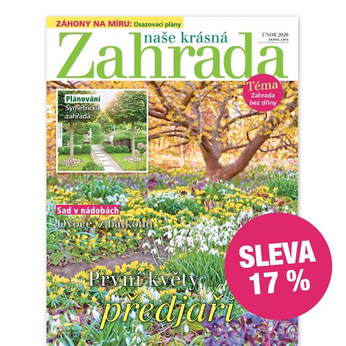 Roční předplatné se slevou