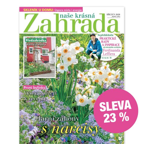 Půlroční předplatné se slevou