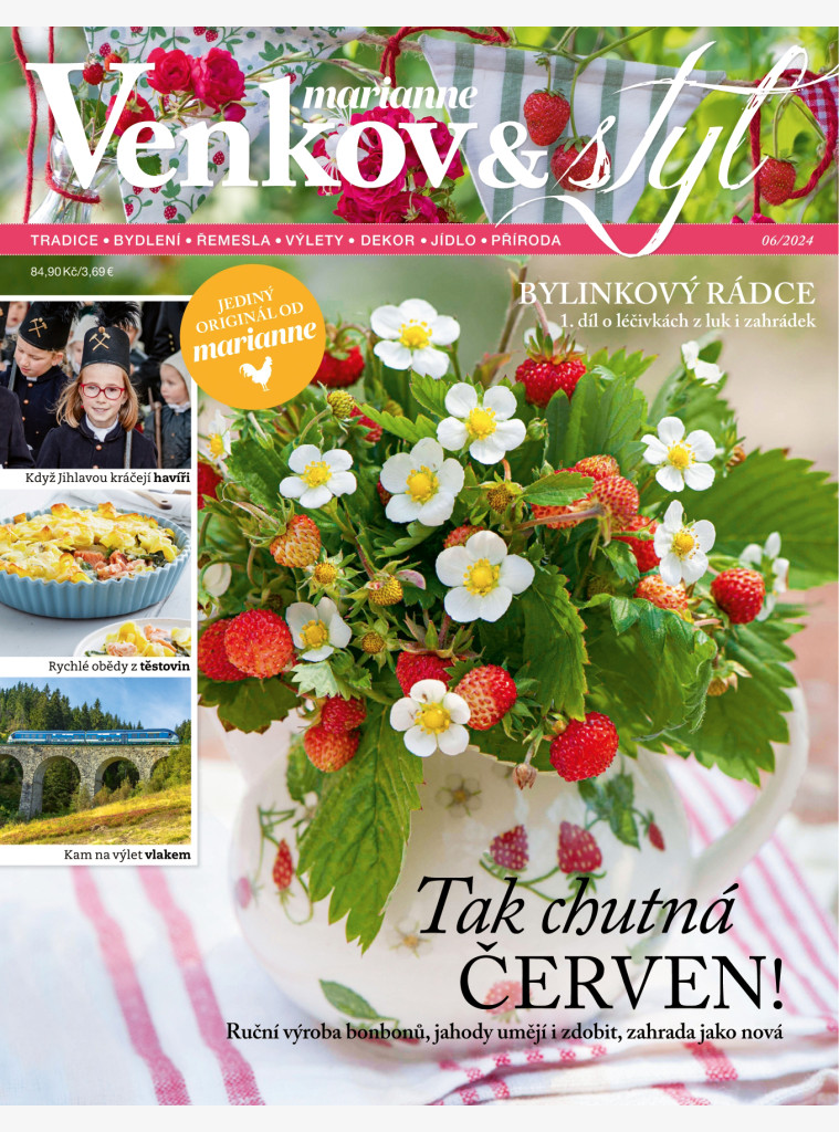 MARIANNE VENKOV & STYL 6/2024