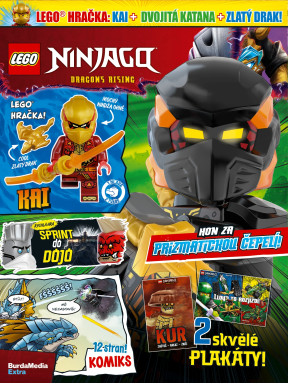 LEGO® NINJAGO®