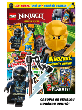 LEGO® NINJAGO®