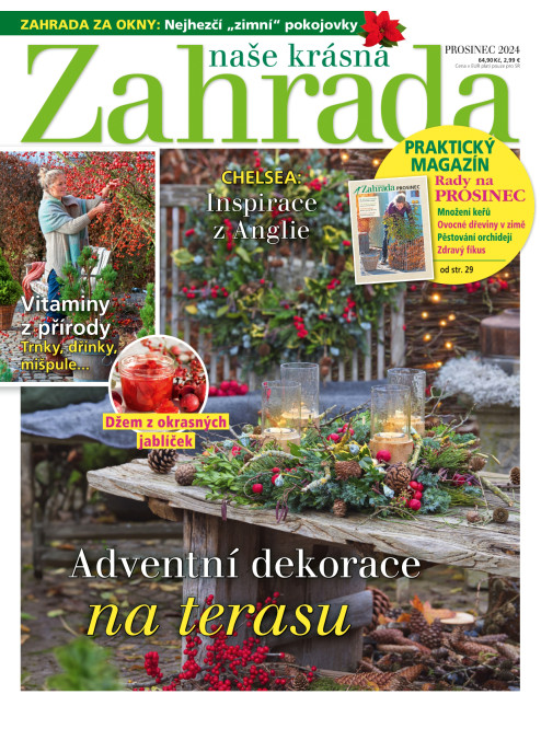 NAŠE KRÁSNÁ ZAHRADA 12/2024