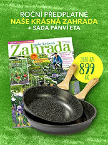 obrázek magazínu 