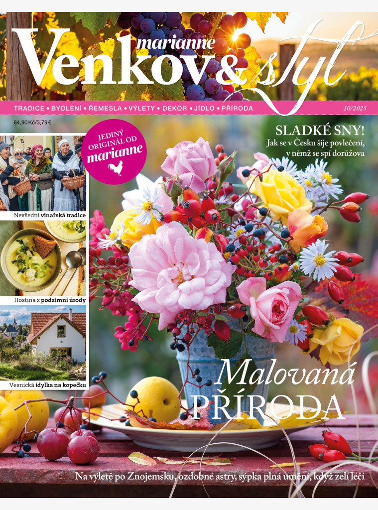 AKTUÁLNÍ VYDÁNÍ MARIANNE VENKOV & STYL 10/2025