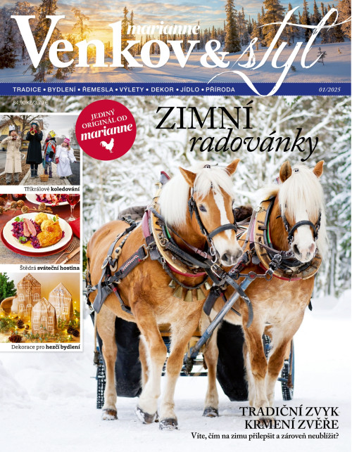 MARIANNE VENKOV & STYL 1/2025