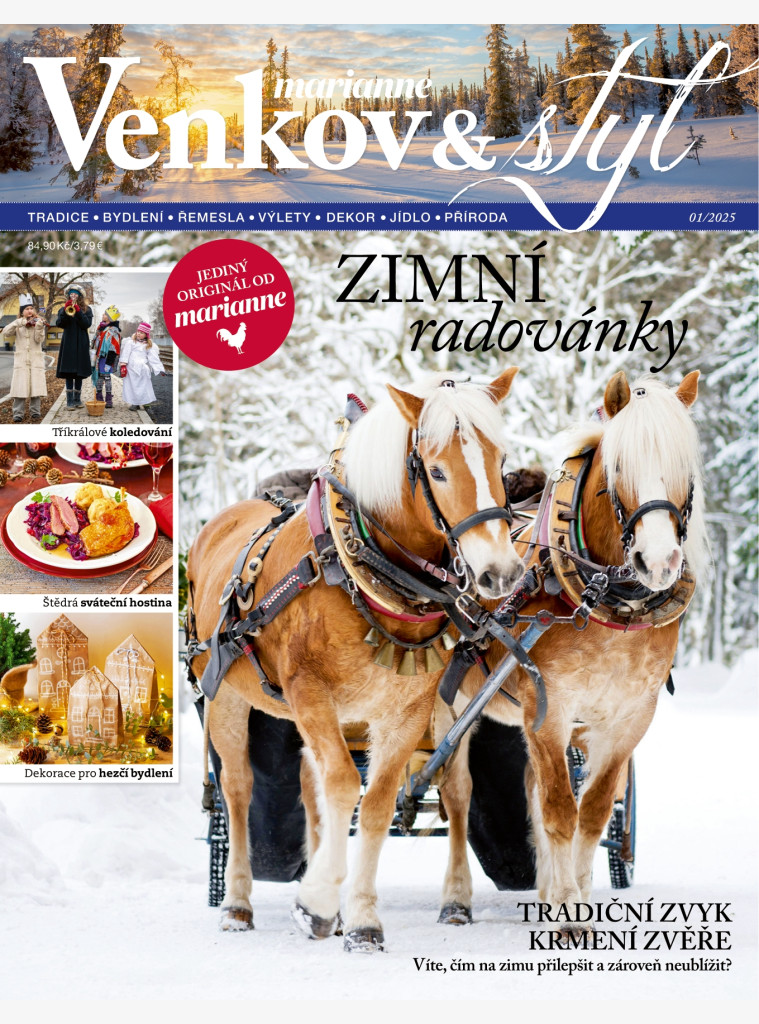 AKTUÁLNÍ VYDÁNÍ MARIANNE VENKOV & STYL 1/2025